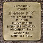 Stolpersteine Bodenheim Kort Johanna.jpg