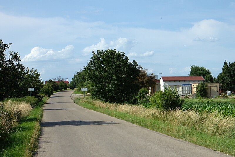 File:Straškov-Vodochody, cesta.jpg