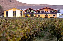 پرونده:Sula_Vineyards.jpg