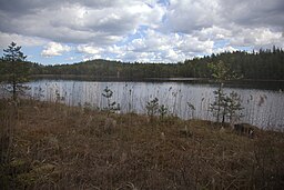 Svallesjöns sydvästra strand.