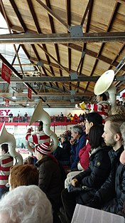 Swanee River, cornell univ pep band, lynah rink.jpg