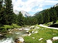 Ansicht aus Richtung Südosten, Val S-charl oberhalb von S-charl. Links der Piz dals Vadès, rechts der Piz Pisoc. Im Vordergrund Arvenwald.