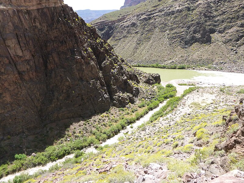 File:Tapeats Creek confluence with Colorado River.jpg