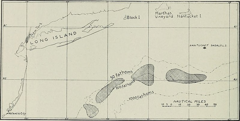 File:The American Museum journal (c1900-(1918)) (18157802452).jpg