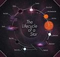 The Lifecycle of a Star.jpg
