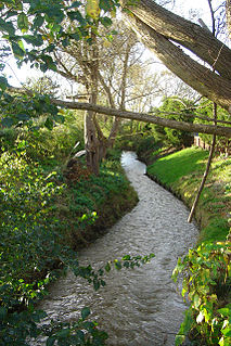 River Rase River in Lincolnshire, England