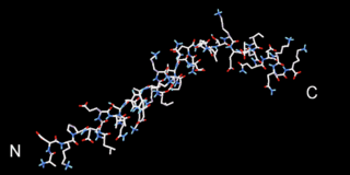 <span class="mw-page-title-main">Beta thymosins</span>