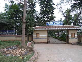 <span class="mw-page-title-main">Tribal Research Institute Museum</span>