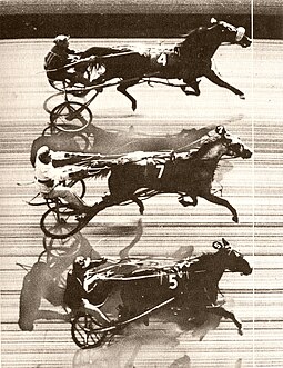 Photo finish Triple dead-heat.jpg