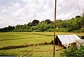 Tripura159.jpg