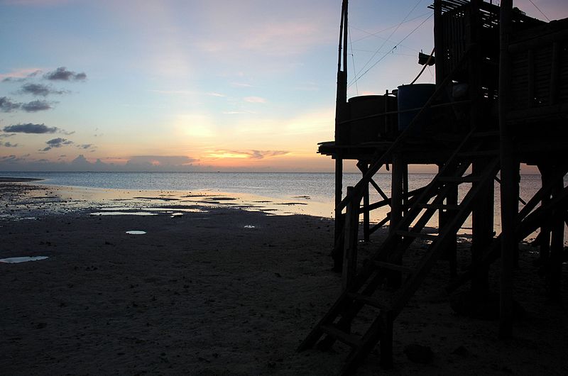 File:Tubbataha Reefs Natural Park-112063.jpg