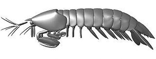 <i>Tyrannophontes</i> Extinct genus of mantis shrimp