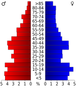 Age pyramid