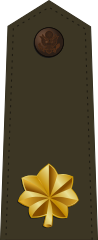 U.S. Army rank insignia of a major.