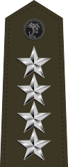 U.S. Marine Corps rank insignia of a general.