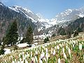 Thumbnail for Bergamasque Alps Regional Park