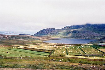 Des prairies du Groenland dans un endroit qui était exploité au temps des vikings.