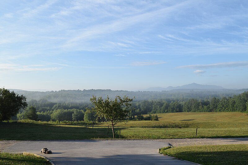 File:View from Apartment Melissa in Plitvička Jezera, Croatia (road, pretty landscape, and a dog).jpg