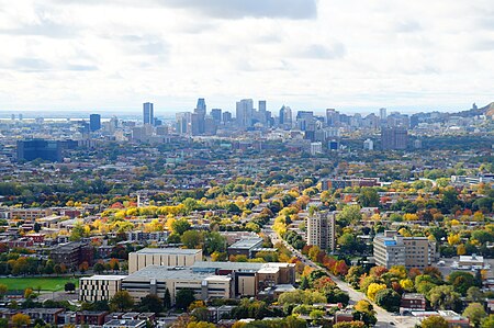 Tập_tin:View_of_downtown_Montreal_-_panoramio.jpg