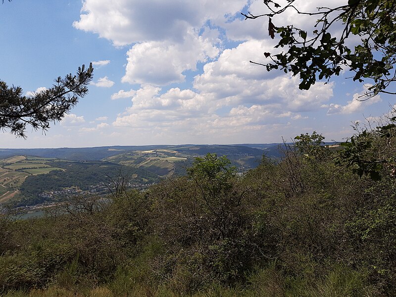 File:Viewpoint on trail In vino veritas, Lorch.jpg