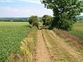 Voie Romaine Chemin Haussé.jpg