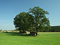 Čeština: Obec Vojníkov - její část Louka, Jihočeský kraj nápověda English: Louka village, South Bohemian Region, CZ help