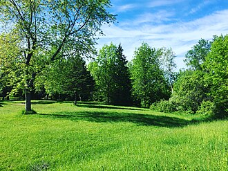 Summer 2017 at park Voyageur Provincial Park .jpg