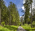 * Nomination Forest track in "Bundorfer Forst" forest west of "Nesselsee" nature reserve --Plozessor 04:47, 31 March 2024 (UTC) * Promotion Good quality --Llez 05:11, 31 March 2024 (UTC)