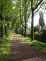 Wandelpad in Sparrenburg