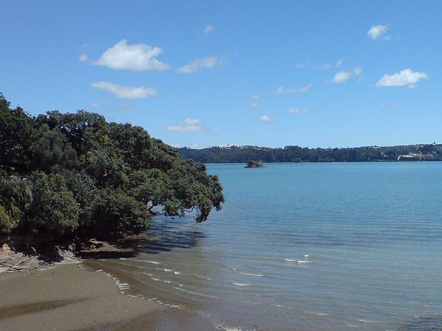 The eastern edge of Herne Bay, one of the wooded beach reserves typical of the harbour.