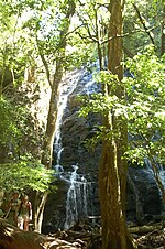 Miniatura per Repoblació forestal a Costa Rica