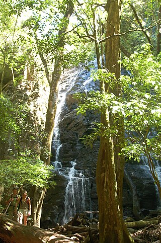 <span class="mw-page-title-main">Reforestation in Costa Rica</span> Conservation program