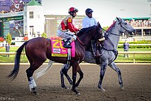 Wicked Strong v roce 2014 Kentucky Derby.jpg