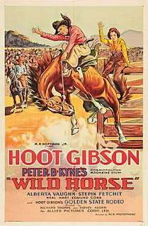 <i>Wild Horse</i> (1931 film) 1931 film by Richard Thorpe