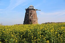 Windmolen van Elene