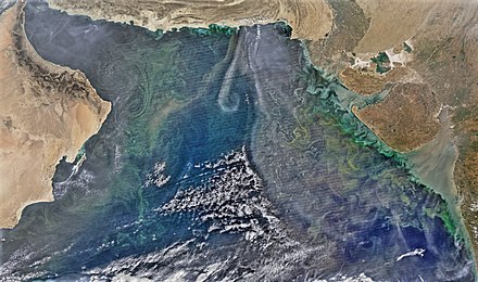 Phytoplankton bloom over the Arabian Sea in winter (NASA)