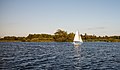 Zicht vanaf het water op de Alde Feanen van het It Fryske Gea. Waardevol natuurgebied in Friesland.