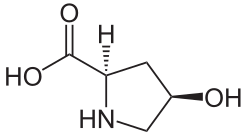 (2R,4R)-4-Hydroxyproline
