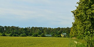 <span class="mw-page-title-main">Žemaičiai, Kėdainiai</span> Village in Kaunas County, Lithuania