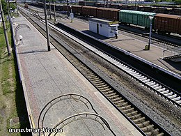 Станція Петрівка - panoramio (1).jpg
