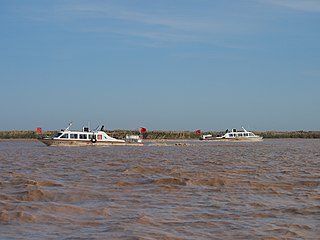 <span class="mw-page-title-main">Bohai Sea saline meadow</span> Ecoregion in the Bohai Sea Coast