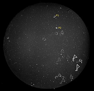 1740 Paavo Nurmi asteroid
