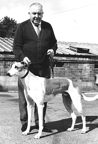 <span class="mw-page-title-main">1973 UK & Ireland Greyhound Racing Year</span>