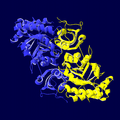 光合成細菌 Chlorobium tepidum RubisCO様タンパク質のリボンモデル。Form IVはRubisCOに必要ないくつかのアミノ酸を欠いている。