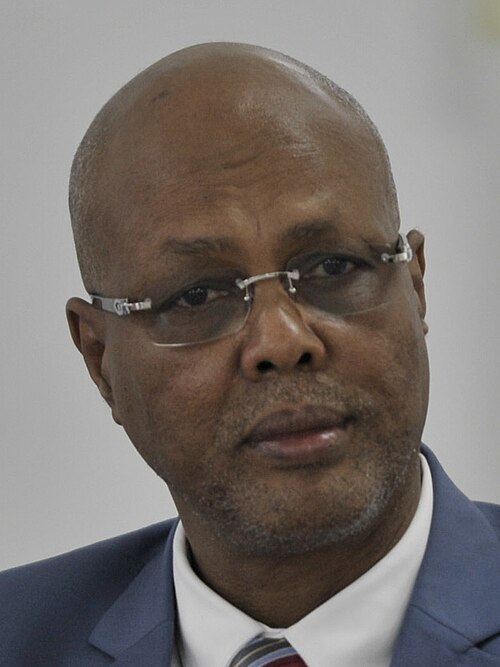 Abdiweli Sheikh Ahmed, 17th Prime Minister of Somalia.