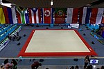 Vignette pour Championnats du monde de gymnastique acrobatique 2014