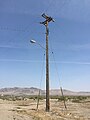 osmwiki:File:2015-04-20 13 14 28 Utility pole and street light along Morrison Avenue in Golconda, Nevada.jpg