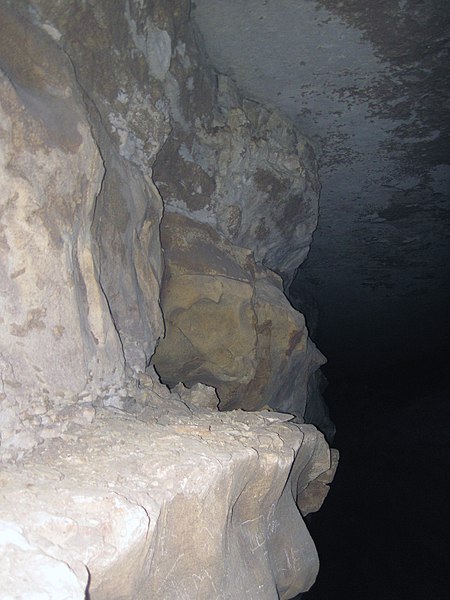 File:24 Beech Creek Member ceiling & Elwren Member walls 6 (8325834828).jpg