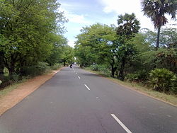 A Road in Pudukkottai to aranthangi