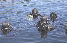 Four Marinejegerkommandoen divers in the water Aa Jegere i vann 24159a.jpg